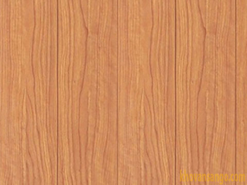 Sàn gỗ ThaiEver Mã TE1206